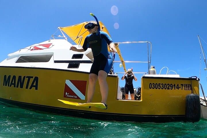 Cabo San Lucas Snorkel at Land's End: Short Guided Tour with Divemaster