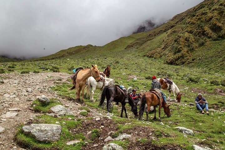 Humantay Lagoon Trek from Cusco: Turquoise Andes Day Hike photo 3