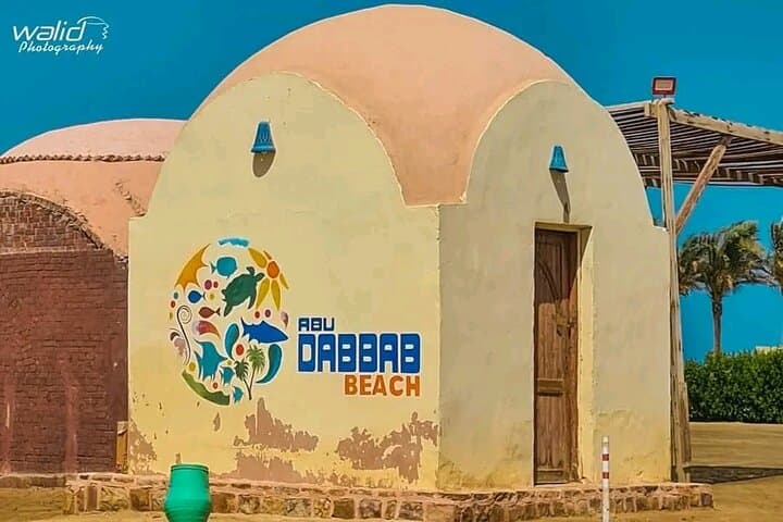 Abu Dabbab Beach Day Trip: Swim with Dugongs and Turtles from Hurghada photo 2