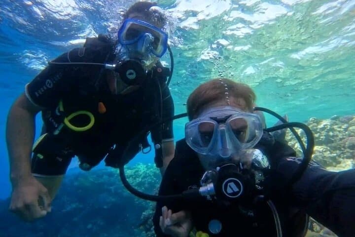 Luxury Red Sea Day Trip from Hurghada: Snorkel, Dive & Dolphin Watch