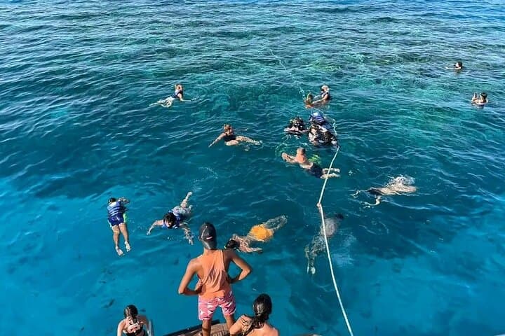 Luxury Red Sea Day Trip from Hurghada: Snorkel, Dive & Dolphin Watch photo 2