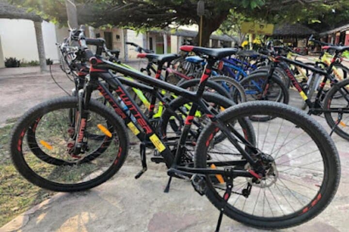 Diani Beach Village Bike Tour: Mangroves, Markets & Swahili Culture photo 2