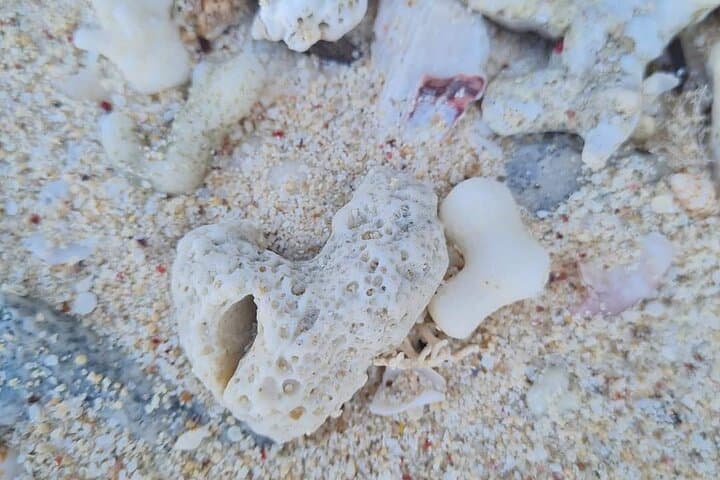 New Magawish Island Snorkel & Water Sports Day Trip from Hurghada photo 6
