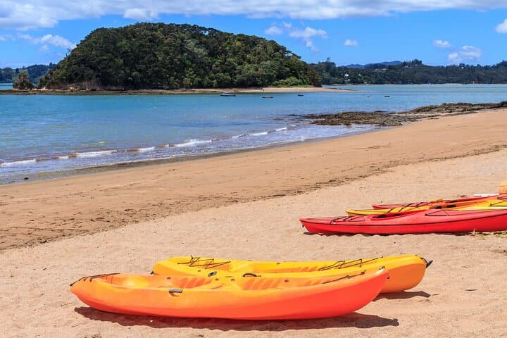 Discover the Bay of Islands: Small-Group Scenic Tour from Paihia photo 4