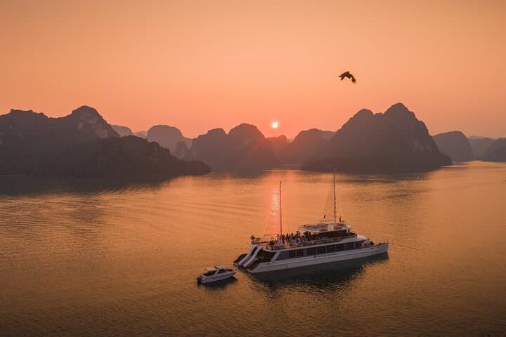 Lan Ha Bay Catamaran Cruise from Cat Ba Island — Afternoon Luxury Day Tour