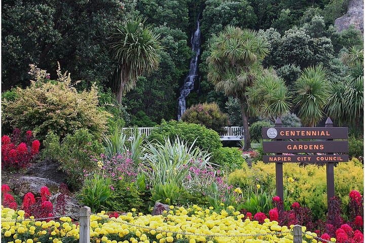 Half-Day Hawke's Bay Premium Winery Tour — Napier Art Deco & Tastings photo 3