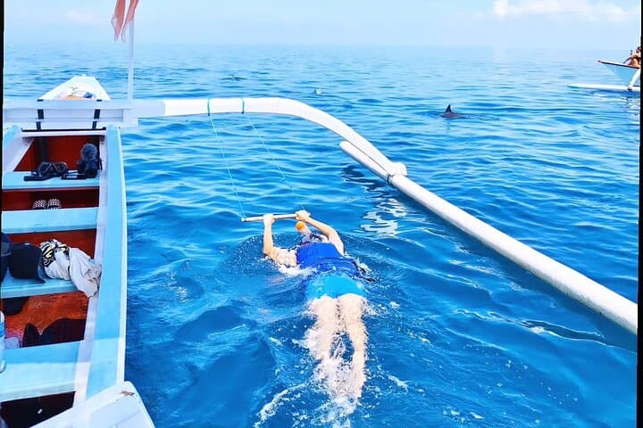 Dawn Dolphins and Gitgit Waterfall: North Bali Sunrise Swim & Snorkel photo 3