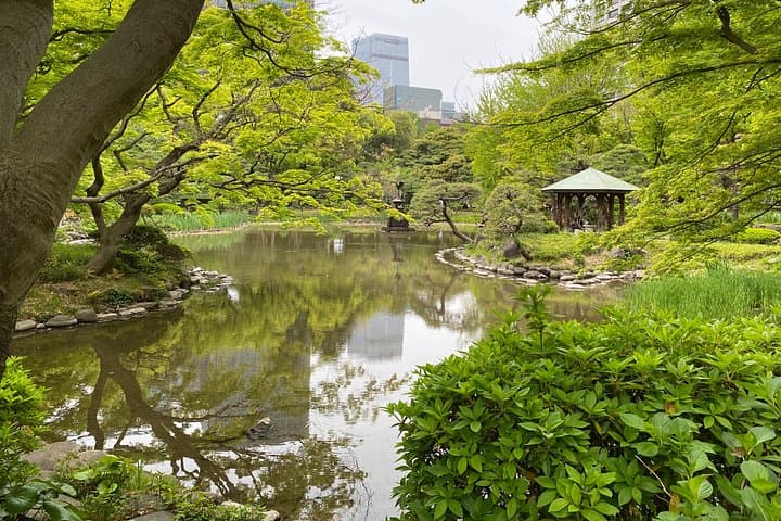 Three Edo Journeys: Nikko, Kawagoe & the Imperial Palace Day Tour from Tokyo photo 3