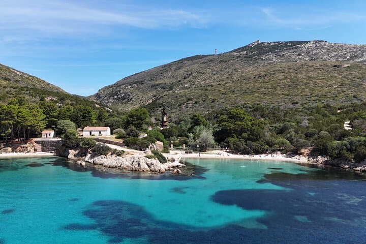 Capo Figari Dolphin Sighting from Olbia — Snorkel & Boat Tour photo 2