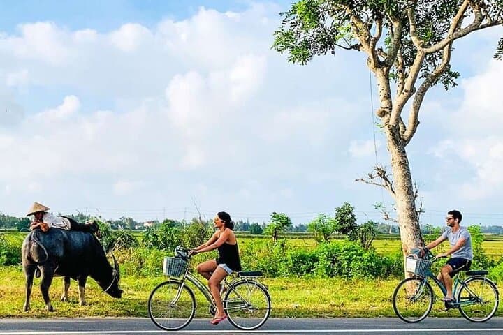 Hoi An Countryside Bike Tour with Tra Que Cooking Class & Basket Boat photo 1