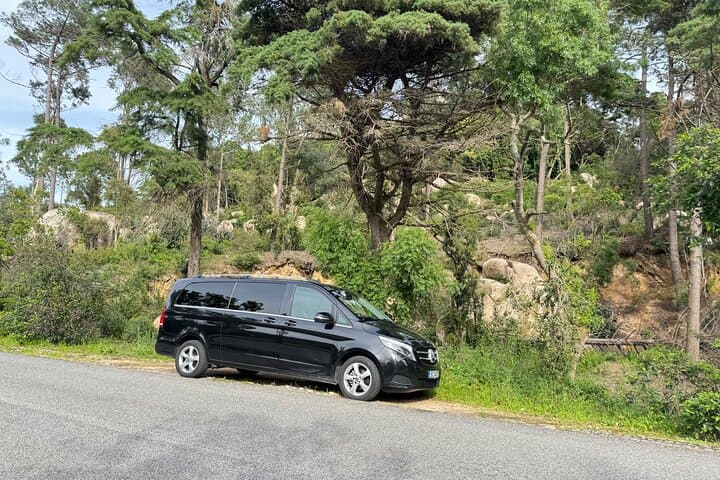 Sintra Private Full‑Day Tour: Pena Palace, Quinta da Regaleira & Cascais photo 4