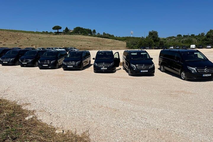 Sintra Private Full‑Day Tour: Pena Palace, Quinta da Regaleira & Cascais photo 6