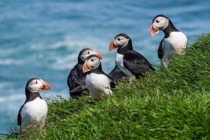Exploring Iceland’s South Coast: A 5-Day Journey from Glacier Lagoons to Geothermal Wonders