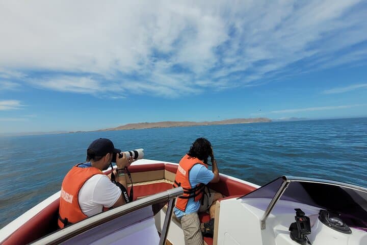 Private Ballestas Islands Boat Tour from Paracas — Wildlife & Candelabro