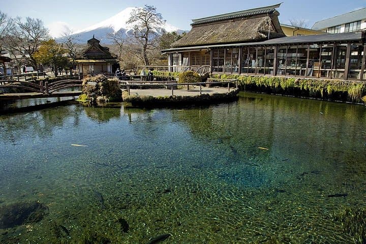 Mount Fuji Day Tour: Private Car to Chureito Pagoda, Kawaguchiko & 5th Station photo 2