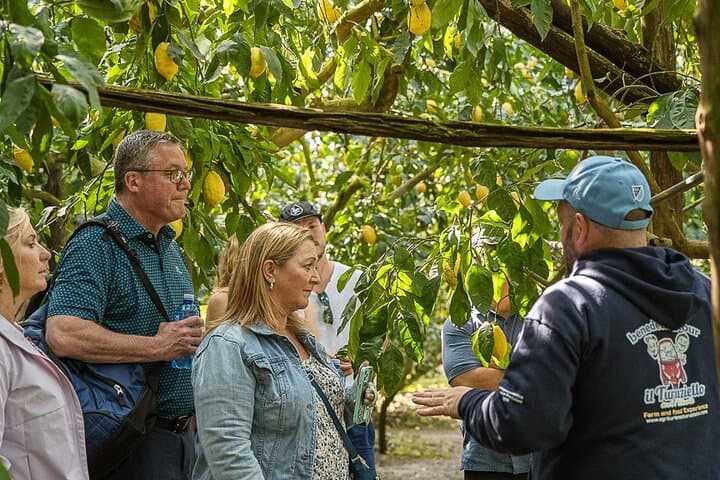 Sorrento Ape Tour: Lemon Grove, Mozzarella Show & Pizza Class photo 2