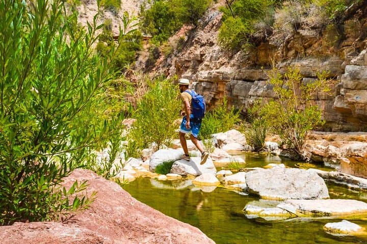 Half-Day Paradise Valley from Agadir — Natural Pools, Palm Canyons & Local Breakfast photo 4