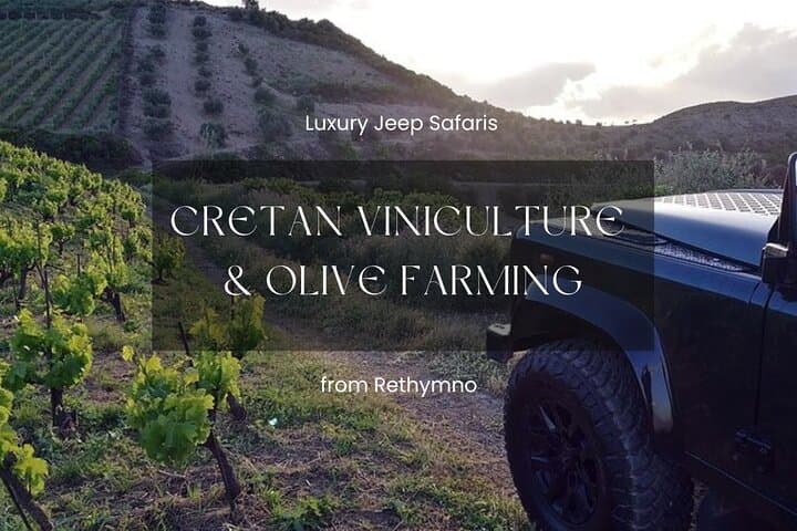 Jeep Safari Rethymno: Cretan Viniculture & Olive Oil Tasting Experience