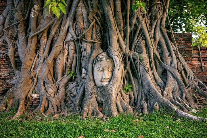 Pedal Through Time: Ayutthaya Heritage Bicycle Tour of Ancient Temples photo 6