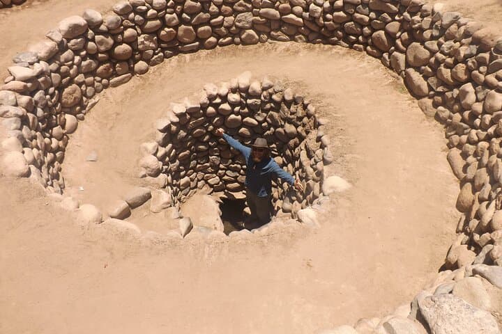 Nazca Lines Flight & Cantalloc Aqueducts Tour — 35–60 Minute Aerial Viewing from Nazca photo 6