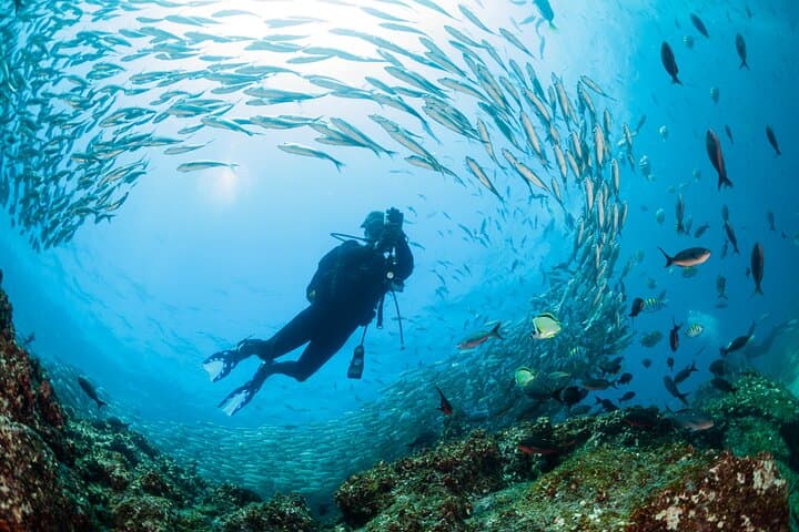 8-Day Galapagos Multi-Sport Adventure: San Cristóbal, Santa Cruz & Isabela Islands