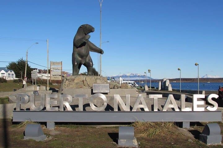Full-Day Torres del Paine & Cueva del Milodón: Glacier Views, Waterfalls & Wildlife