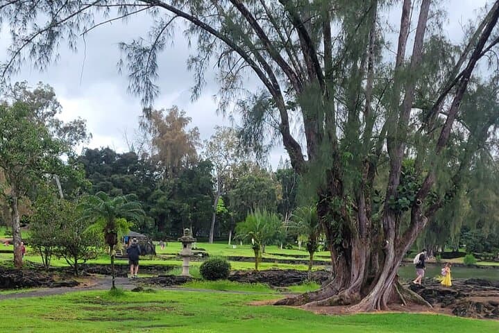 Meditative Journey through Hilo Gardens: Reflect and Rejuvenate in Hawaii’s Sacred Green Space