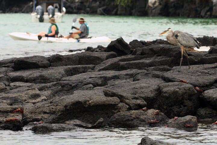 8-Day Galapagos Multi-Sport Adventure: San Cristóbal, Santa Cruz & Isabela Islands photo 3