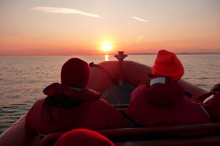 Sunset Zodiac Whale Watch: Fast-Boat Tour from Victoria, BC photo 6
