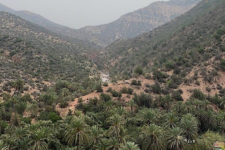 Paradise Valley Day Trip from Agadir — Guided Hike, Swimming & Berber Breakfast photo 6