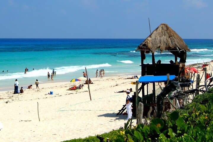 Beach Guardians Clean-Up & Otoch Mayan Experience — Cozumel Eco Tour with Tequila Tasting