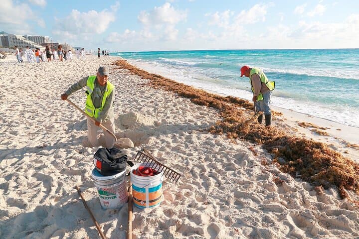 Beach Guardians Clean-Up & Otoch Mayan Experience — Cozumel Eco Tour with Tequila Tasting photo 2