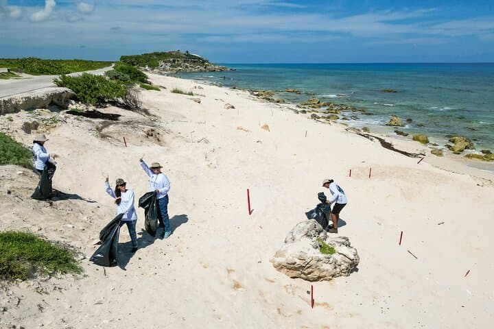 Beach Guardians Clean-Up & Otoch Mayan Experience — Cozumel Eco Tour with Tequila Tasting photo 3