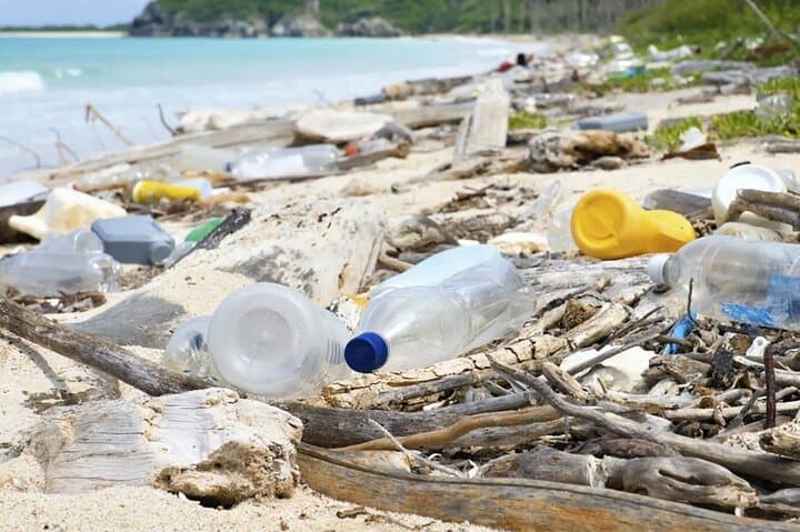 Beach Guardians Clean-Up & Otoch Mayan Experience — Cozumel Eco Tour with Tequila Tasting photo 4