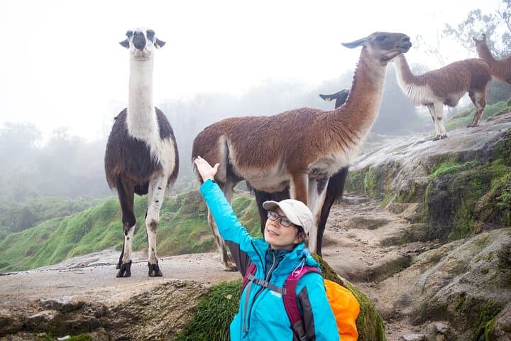 Classic Inca Trail to Machu Picchu: 4-Day Trek from Cusco
