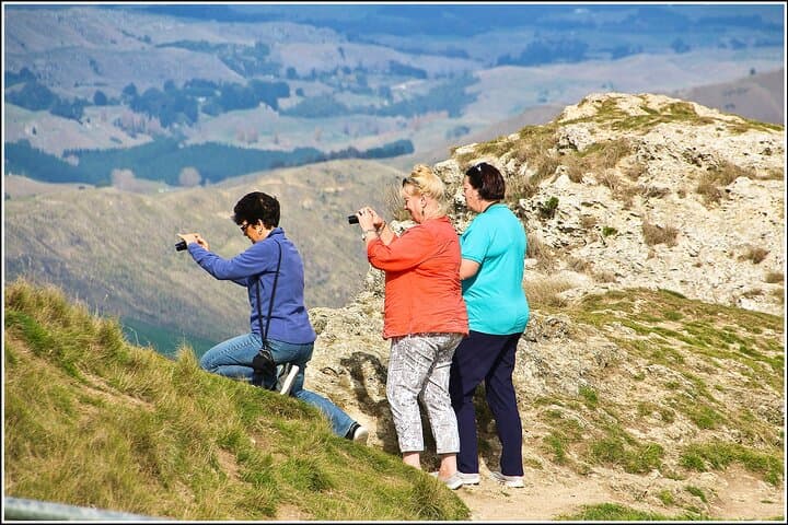 Hawkes Bay Scenic Luncheon & Wine Tour from Napier