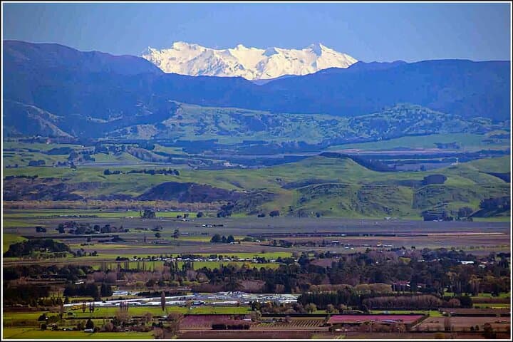 Hawkes Bay Scenic Luncheon & Wine Tour from Napier photo 3