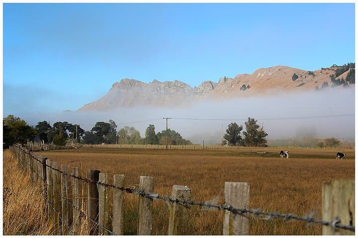 Hawkes Bay Scenic Luncheon & Wine Tour from Napier photo 4