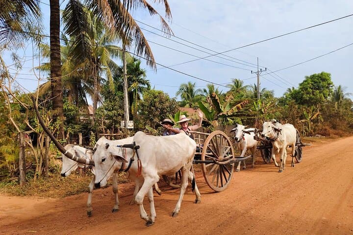 Siem Reap Village Cooking Class & Oxcart Ride — Hands-On Khmer Culinary Experience photo 5