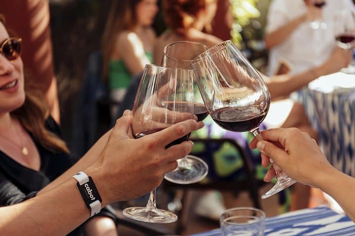 Mallorca Wine and Cheese Tasting in Port d'Alcúdia — Local Wineries & Artisanal Cheeses photo 1