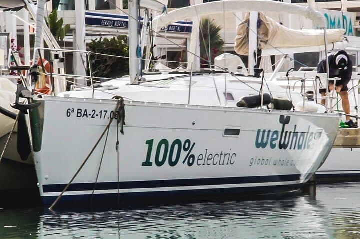 Electric Sunset Dolphin Cruise in Denia — Silent Sail to Cabo de San Antonio photo 2