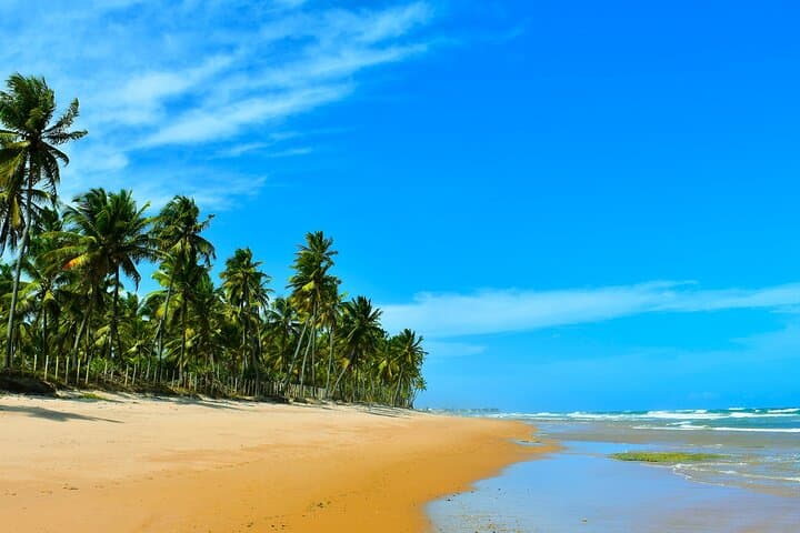 Seven-Day Coconut Coast Surf Camp near Salvador da Bahia photo 2