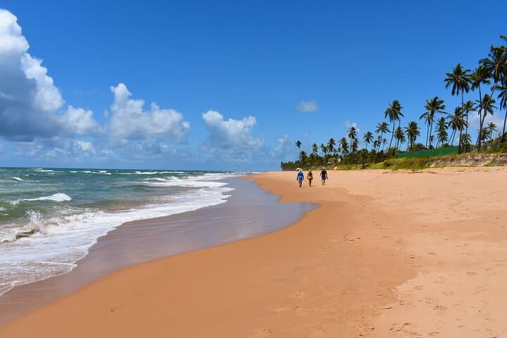 Seven-Day Coconut Coast Surf Camp near Salvador da Bahia photo 4