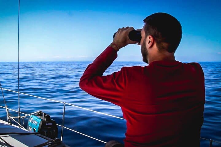 Denia Electric Whale & Dolphin Watching Tour on El Som Mar photo 4
