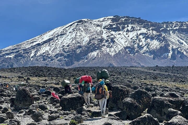 Epic 7-Day Kilimanjaro Trekking Adventure on the Machame Route