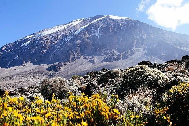 Epic 7-Day Kilimanjaro Trekking Adventure on the Machame Route photo 5