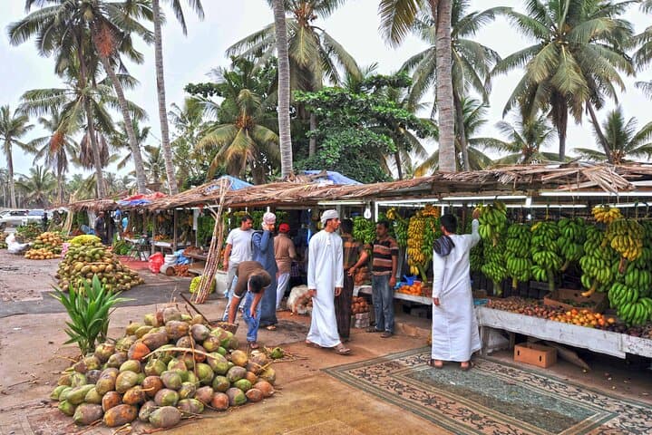 Salalah Half-Day Private City Tour — Mosque, Souqs & Ain Razat photo 6