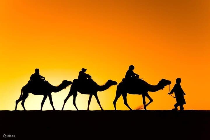 Agafay Sunset Camel Ride and Dinner: Marrakech Desert Experience photo 4