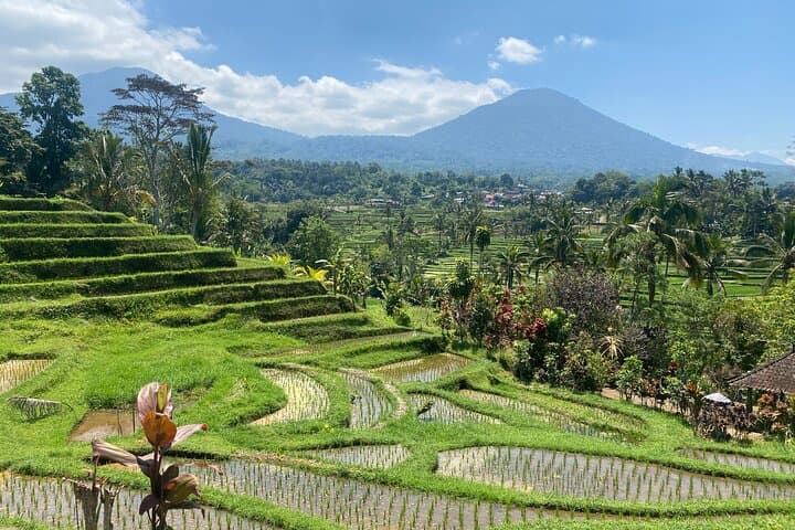 Full-Day Bali Scooter Tour: 5 Elements Ubud Scooter Adventure photo 5