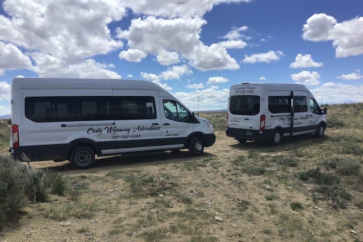 Red Canyon Wild Mustang Tour from Cody — Private 4-Hour Van Safari photo 4